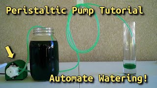 How To Use a Peristaltic Pump To Automatically Water Plants