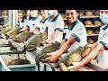 Frogs Farm | How China Farmer Raised Millions Frogs For Meat | Frog Processing in Factory | TAO Farm