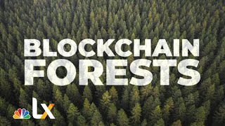 This Startup is Using the Blockchain to Track Trees and Help the Climate | NBCLX