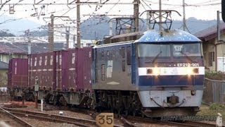 JR貨物 EF210-901号機 貨物列車1057レ 大野浦駅通過 2013.2