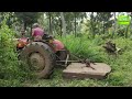 ටැෆේ ට්‍රැක්ටරයෙන් තණ කොල කැපීම grass cutting tractor තණකොල කැපීම tafe tractor kubota tractor