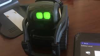 [Vector Ctrl App] a app to control Anki’s Vector robot