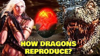 Targaryen Dragons Anatomy Explored – What's Their Origin, Reproduction, Fire Bre
