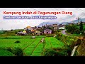 Kampung Indah Bikin Betah, Desa di Dataran Tinggi Dieng, Mayoritas Petani Kentang