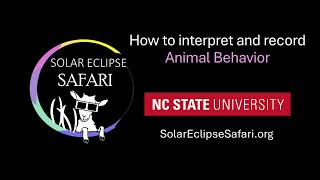 Solar Eclipse Safari: Animal Behavior Training Video