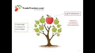 Come Lavorare con TradeTracker