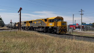 TasRail 2052 2053 #46 Coal train passing through Longford