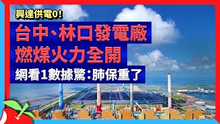 興達供電0！台中、林口發電廠燃煤火力全開　網看1數據驚：肺保重了 | 台灣新聞 Taiwan 蘋果新聞網