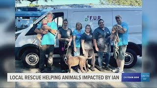 Local rescue helping animals impacted by Ian