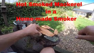 Hot Smoked Mackerel in a Home-made Smoker