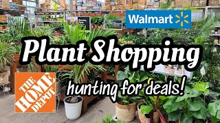 Hunting for Plant Deals at Home Depot \u0026 Walmart!! 🌿 PLANT SHOPPING in West Hartord, CT 💕