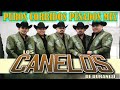 Los Canelos De Durango 20 Exitos Mix Pa Pistear || Puros Corridos Pesados Mix