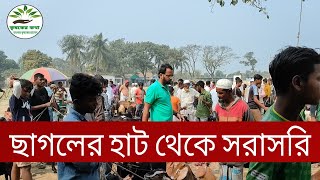 সুহিলপুর ছাগলের হাট থেকে সরাসরি ভিডিও