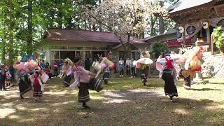 ２０２４紫野鹿踊（白山神社奉納）