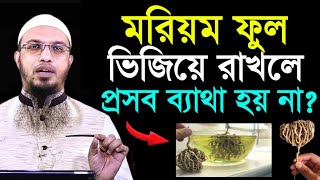 মরিয়ম ফুল ভিজিয়ে রাখলে প্রসব ব্যাথা হয় না ? শায়খ আহমাদুল্লাহ