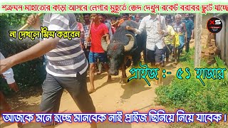 শত্রুঘন মাহাতো কাড়া আসরে লেগার মুহূর্ত জেদ দেখুন।রকেট বরাবর ৩৬০গতিতে ছুটে যাচ্ছে আসরে। #cow #virals