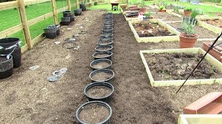 How to Build  A Sunken Container Vegetable Garden: All the Steps - Save Resource, Money & Grow More!