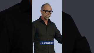 How To Set Captives Free