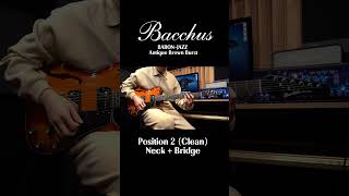 Bacchus Global Series BARON-JAZZ Antique Brown Burst Demo #guitar #musicforce #뮤직포스