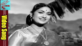 Oho Oho Pavurama Video Song || Manchi Manasulu Movie || ANR,  Savithri || MovieTimeCinema