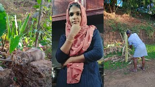 ആ മിണ്ടാ പ്രാണിനെ🐈 ഇട്ട് പോയതല്ലേ 😔/സ്നേഹം/care 😘/Risha Sidhi