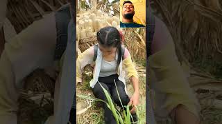 এরা কত পরিশ্রম করে ❤️❤️#shorts #trending #video #viralvideo