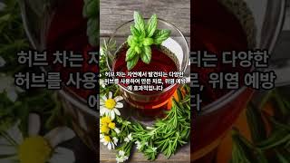 [광고]위염 예방을 위한 보충제와 건강식품