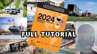 How To Use The ERG: A Complete Guide (2024)