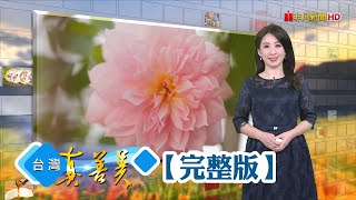 乳酪絲日產上百公斤 手工剝絲年銷六千萬/三代素工廠顛覆傳統 川味入菜創即食料理/阿里山下有機玫瑰園 自學嫁接育珍稀品種/廟口囝仔做紙糊神像 表情維妙維肖超擬真【台灣真善美】2024.03.24✦全集✦