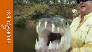 Mind-Blowing Fly Fishing For Monster Tigerfish in Tanzania 🐟