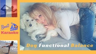 Dog Functional Fitness🐾 I Carry Puppies not Guns