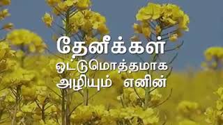 தேனீக்கள் இல்லை இந்த உலகத்தில் எந்த ஜீவராசிகளும் உயிருடன் வாழ முடியாது மிகவும் முக்கியமான மகரந்த