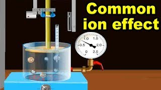 Common ion effect | 11th Std | Chemistry | Science | CBSE Board | Home Revise