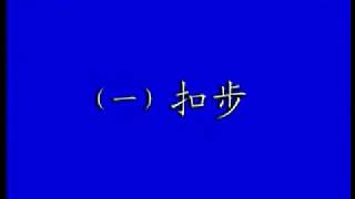 程式八卦掌基本功  麻林城