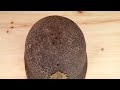 🪖 Rusted Military Helmet - Impossible Restoration