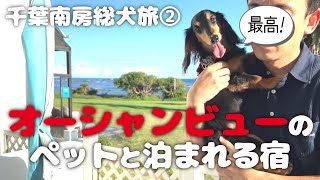 【犬連れ千葉南房総旅行】オーシャンビューのテラス付き！ペットと泊まれる宿「白浜オーシャンリゾート」さんに愛犬と宿泊 千葉県南房総観光犬連れ旅②旅するペットショップの売れ残りと元保護犬