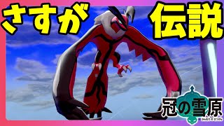 【ポケモンソードシールド】デスウィングが炸裂！？イベルタルの強者の余裕！鎧の孤島冠の雪原【エキスパンションパス】