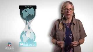 Cyber101x: Blocking WikiLeaks