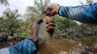 Gampangnya mancing di sini seperti mancing di kolam..!