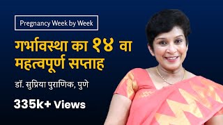 गर्भावस्था का १४ वा सप्ताह | 14th week - Pregnancy week by week | Dr. Supriya Puranik, Pune
