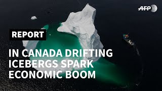 'Iceberg Corridor' sparks economic boom on Canada's east coast | AFP