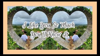 I Like You So Much, You'll Know It | Benedict Cua & Kristel Fulgar | Lyrics