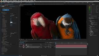 Use Keyed Green Screen Footage in Trapcode Form with Layer Maps