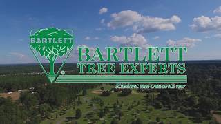 Careers in Arboriculture at Bartlett Tree Experts