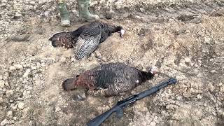 SULUN Arms Tac-12 opening day turkey hunt in Ontario with pro-staffer Andrew