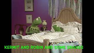 Muppet Songs: Kermit & Robin the Frogs - In a Persian Market