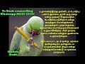 தலைக்கனமும் தாழ்வுமனப்பான்மையும் understanding negative ego u0026 inferiority complex