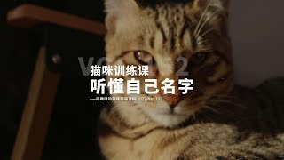 谁不想拥有一个随叫随到的小猫咪呢～每天五分钟，让你家的猫咪听懂自己的名字  #猫咪训练  #新手养猫 #科学养猫攻略