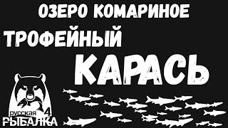 Раздача трофейного карася. Фарм серебра для новичков. Озеро Комариное. Русская рыбалка 4.