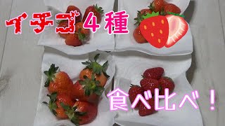 【古都華・さがほのか】イチゴ４種食べ比べ！【あすかルビー・ゆめのか】